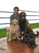 Fotos de perros